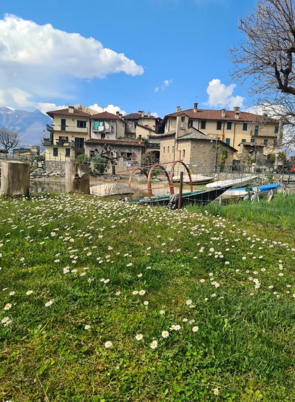 Apartment L'Ulivo Lake View In Private Street Lierna Bagian luar foto